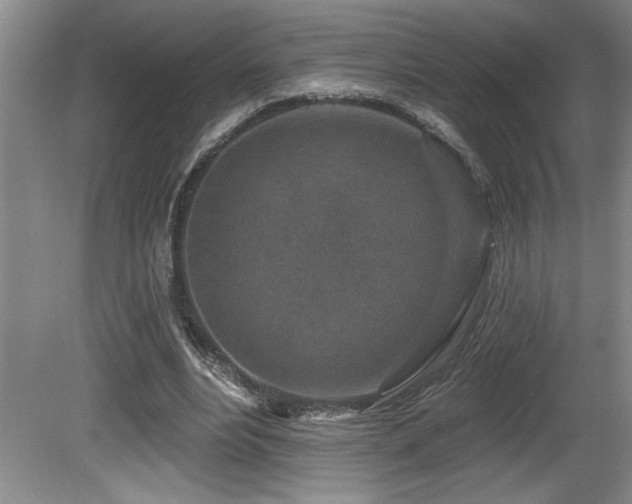 X0000080790488200612151459