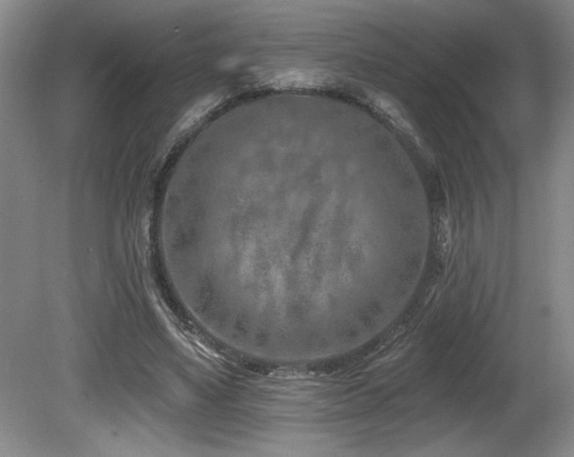 X0000080790491200612151458