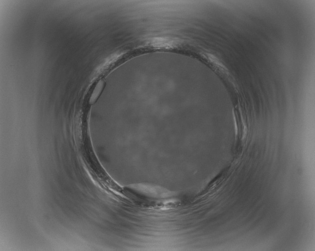 X0000080790492200612151458