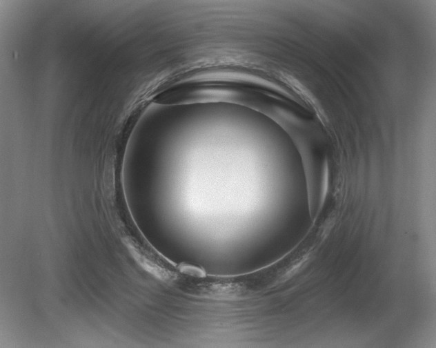 X0000080790493200612151458