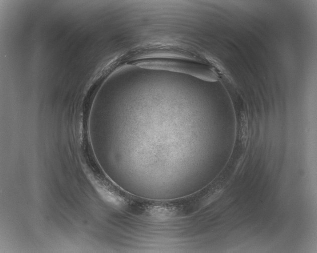 X0000080790494200612151458