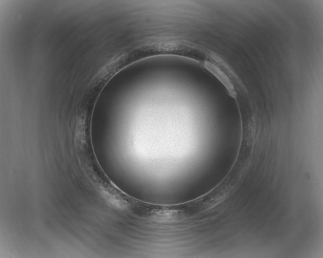 X0000080790497200612151458