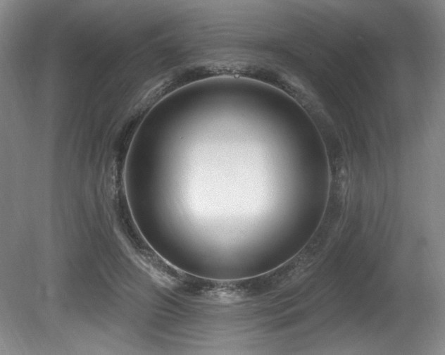 X0000080790498200612151458