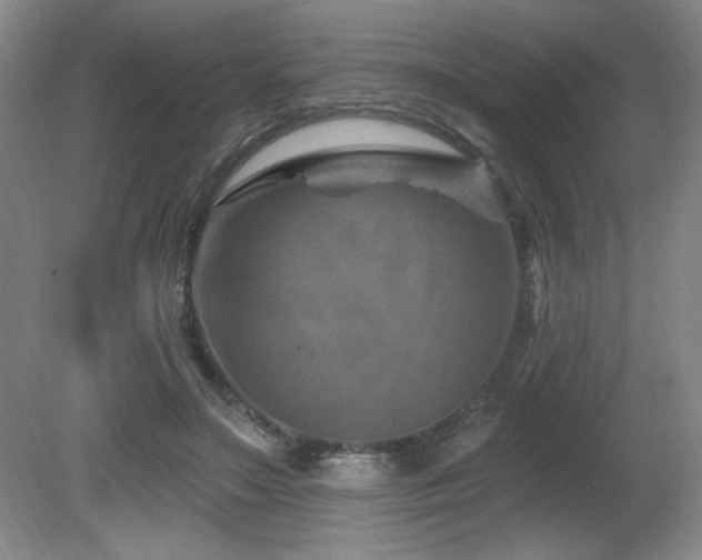 X0000080790499200612151458