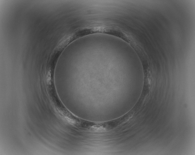 X0000080790502200612151458