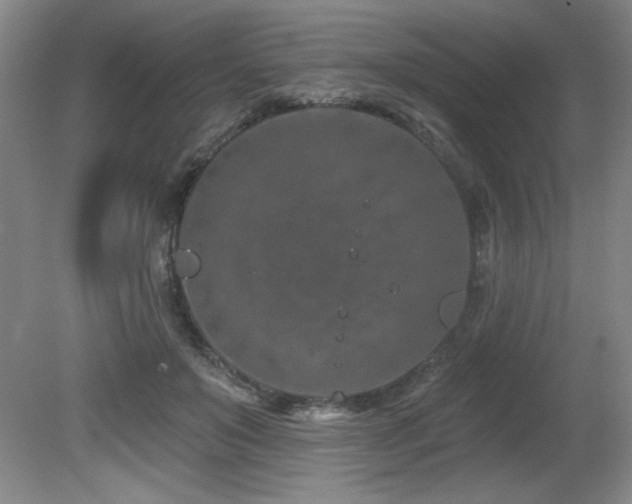 X0000080790503200612151458