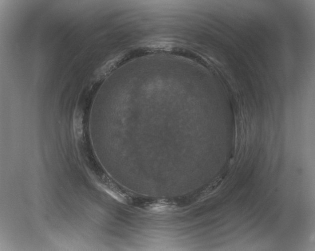 X0000080790504200612151458