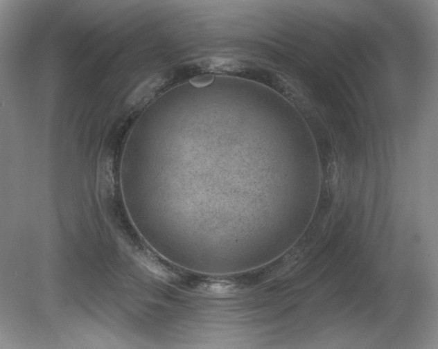 X0000080790506200612151458