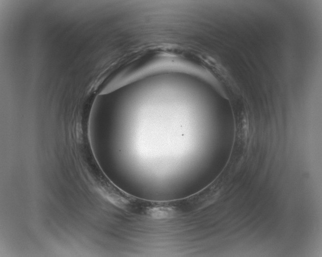 X0000080790508200612151458