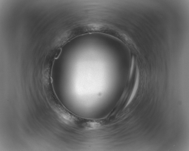 X0000080790509200612151458