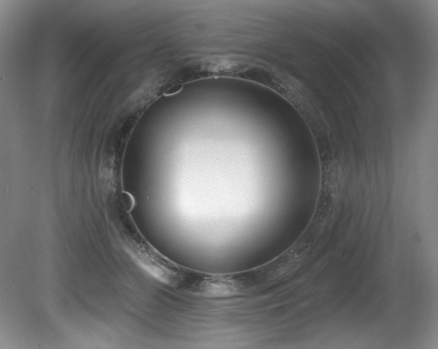 X0000080790510200612151458