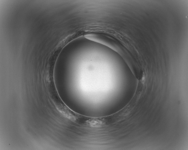 X0000080790512200612151458