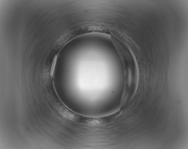 X0000080790513200612151458