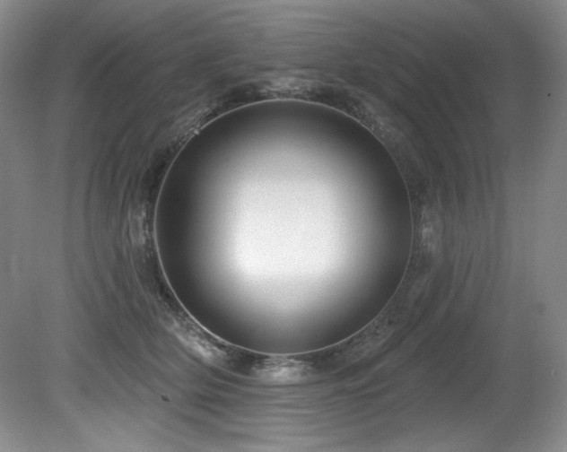 X0000080790514200612151458