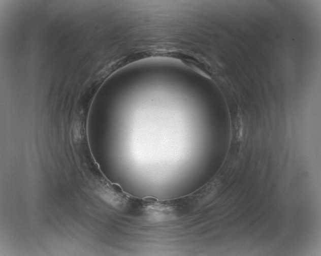 X0000080790515200612151458