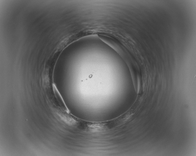 X0000080790516200612151458
