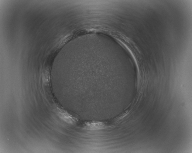 X0000080790517200612151458