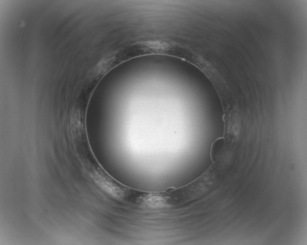 X0000080790518200612151458