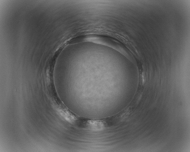 X0000080790520200612151458