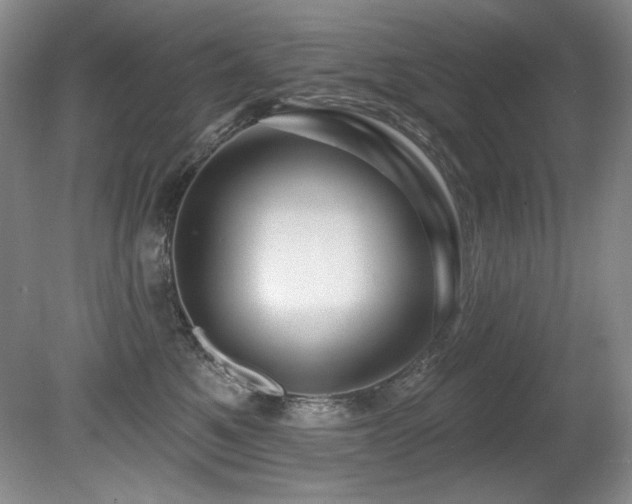 X0000080790521200612151458