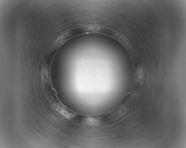 X0000080790522200612151458