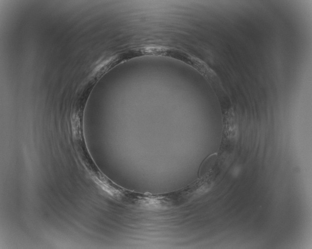 X0000080790523200612151458