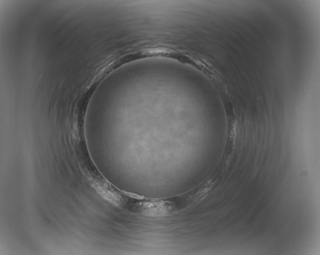 X0000080790524200612151458