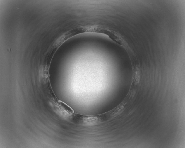 X0000080790525200612151458
