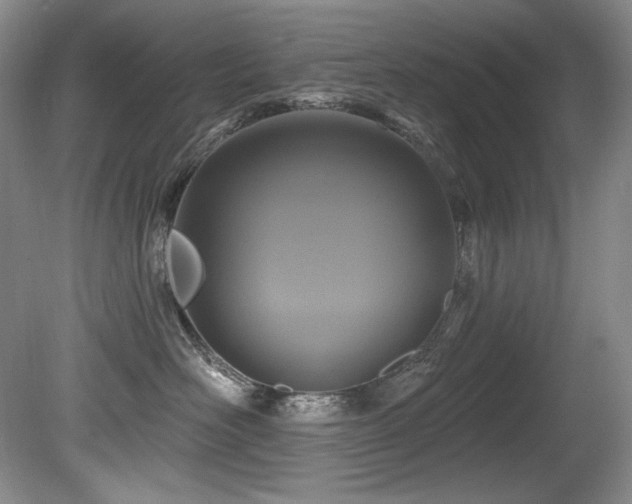 X0000080790526200612151458