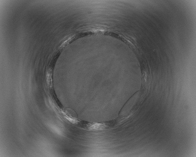 X0000080790527200612151458