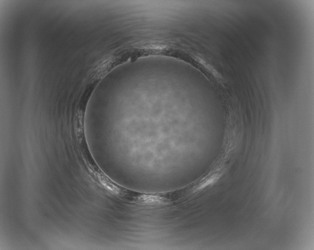 X0000080790528200612151458