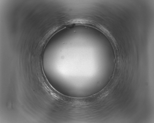 X0000080790529200612151457