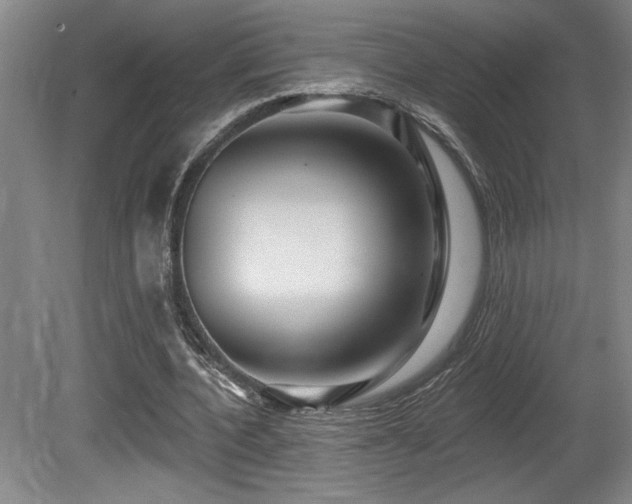 X0000080790532200612151457