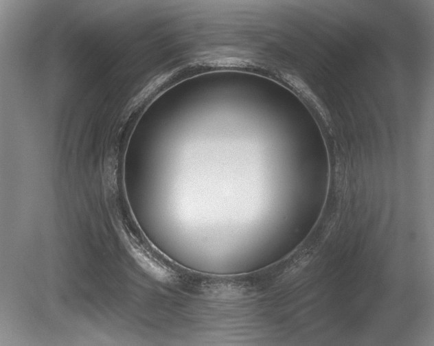 X0000080790533200612151457