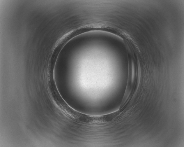 X0000080790536200612151457