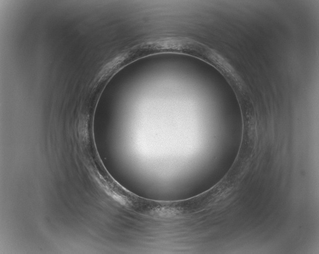 X0000080790537200612151457