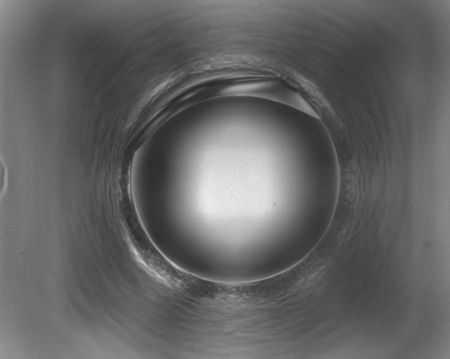 X0000080790538200612151457