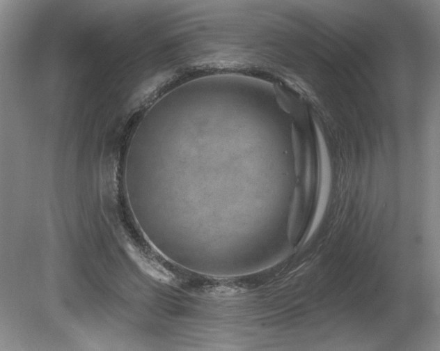 X0000080790542200612151457