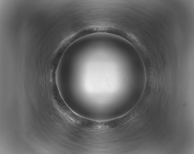 X0000080790543200612151457