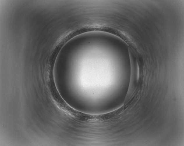 X0000080790544200612151457