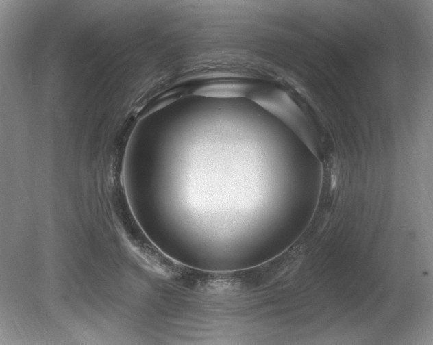 X0000080790546200612151457