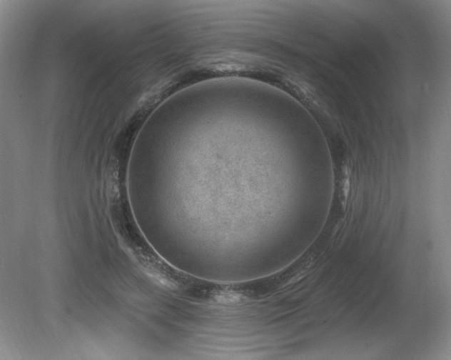 X0000080790547200612151457