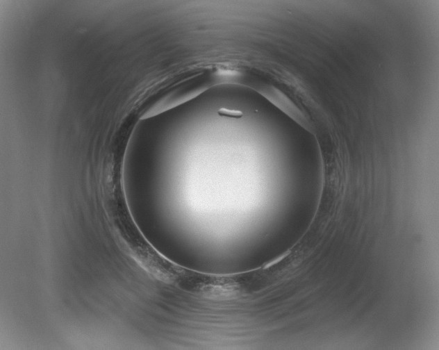 X0000080790548200612151457