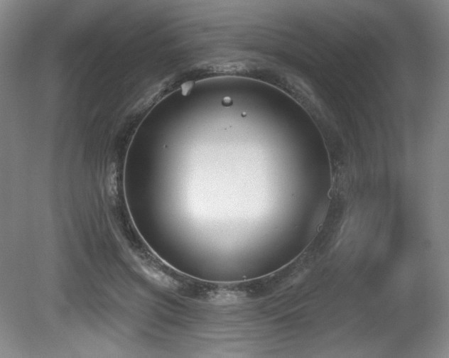 X0000080790549200612151457