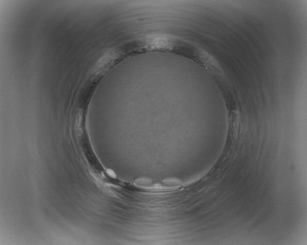 X0000080790550200612151457