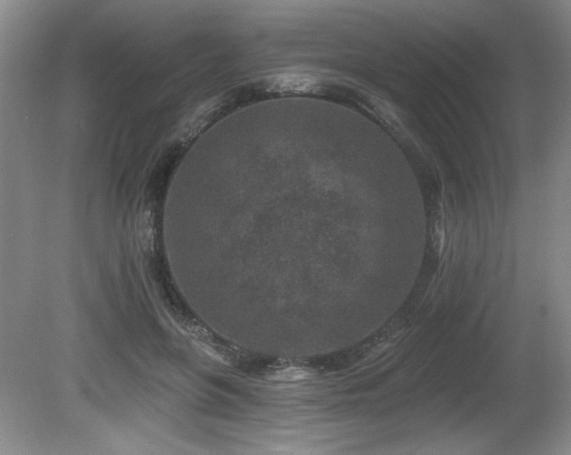 X0000080790551200612151457