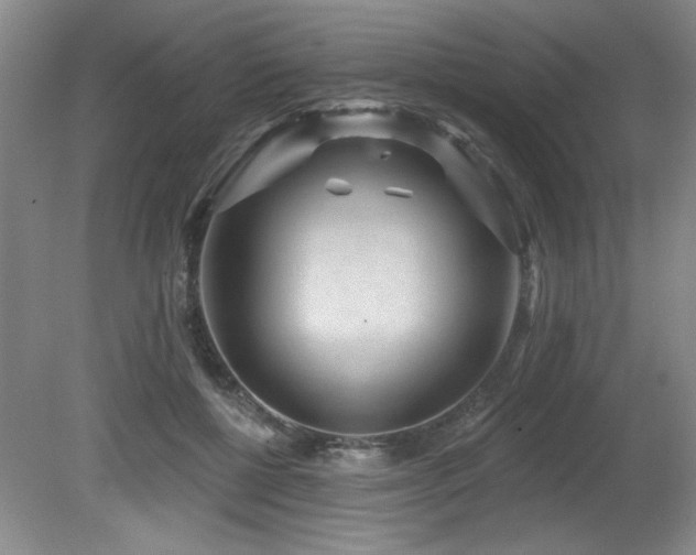 X0000080790552200612151457