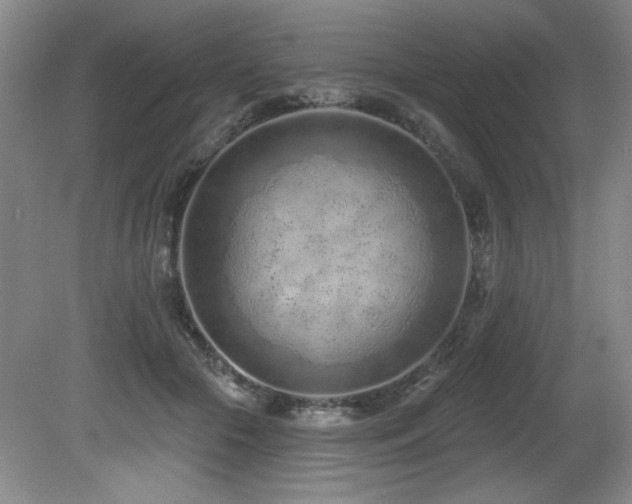 X0000080790553200612151457