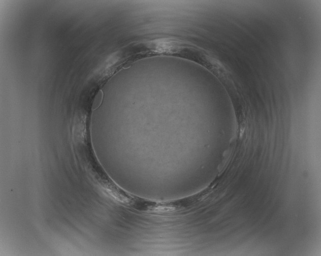 X0000080790554200612151457