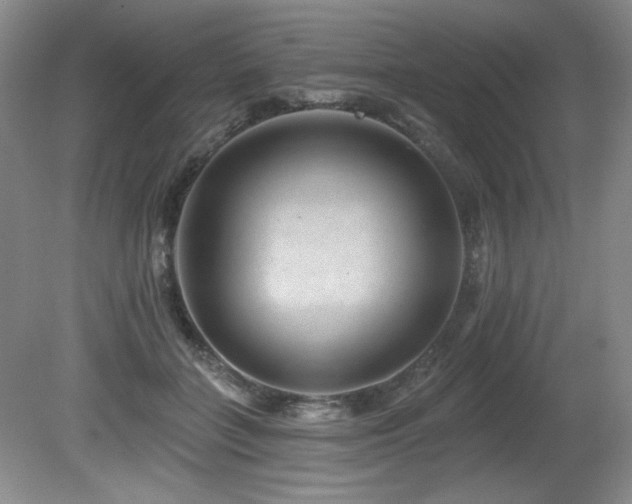 X0000080790555200612151457